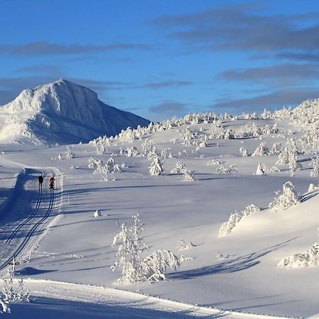 Peaceful Oasis. Panoramic Forest- & Mountain View. Sauna. Beitostolen Exterior foto