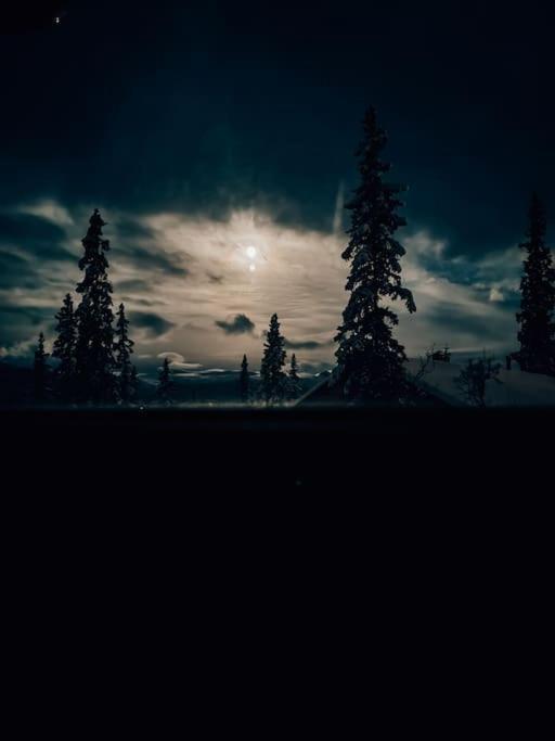 Peaceful Oasis. Panoramic Forest- & Mountain View. Sauna. Beitostolen Exterior foto