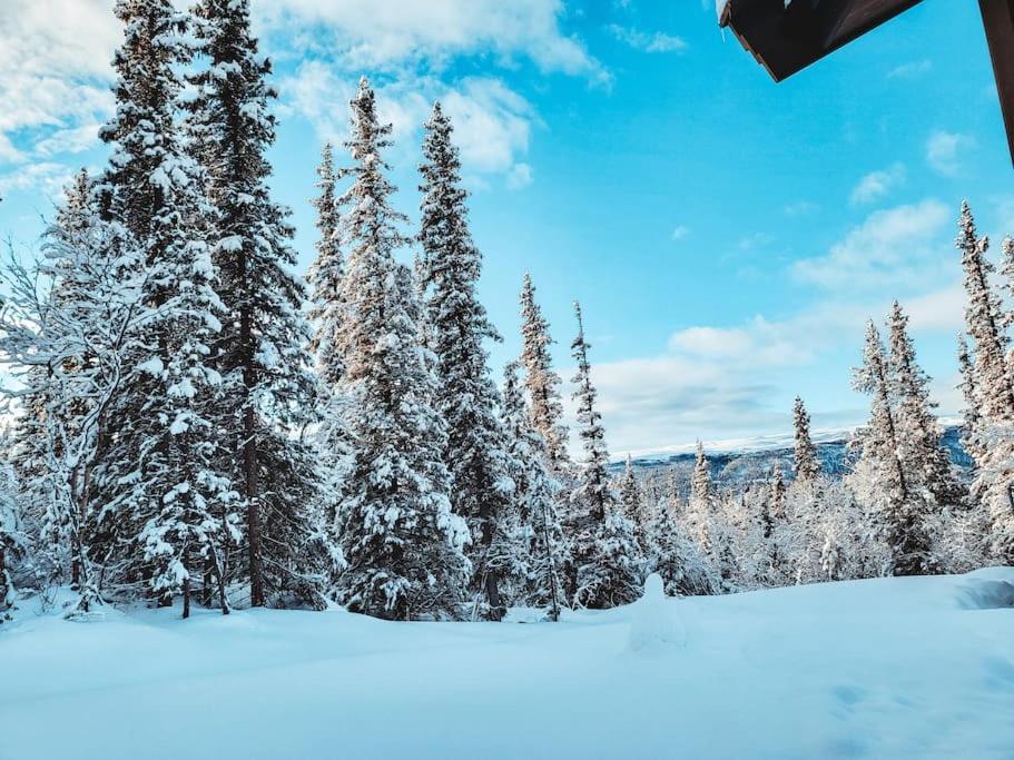Peaceful Oasis. Panoramic Forest- & Mountain View. Sauna. Beitostolen Exterior foto